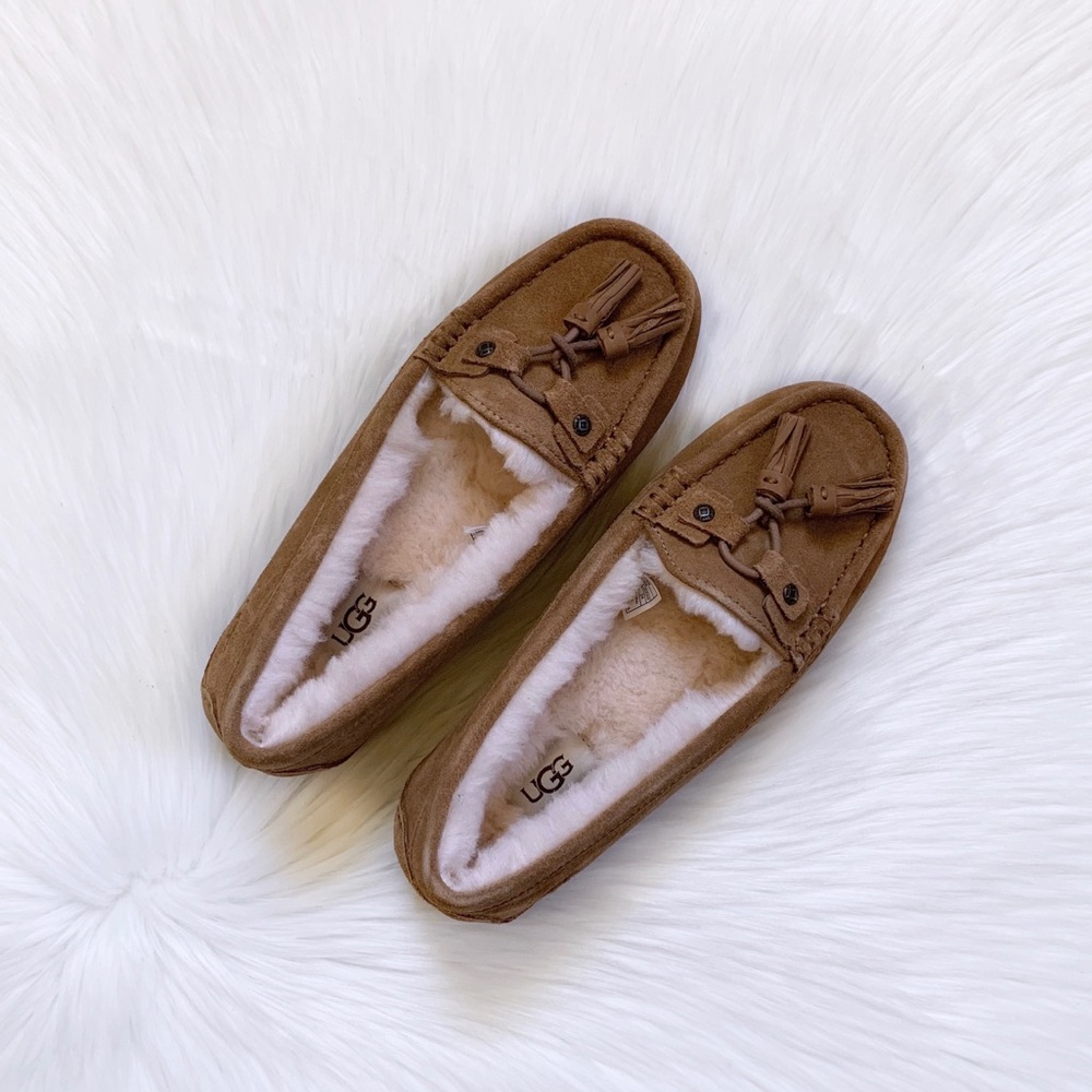 UGG Litney Chestnut Slipper For Outdoor/Indoor Use - Picture 3 of 8